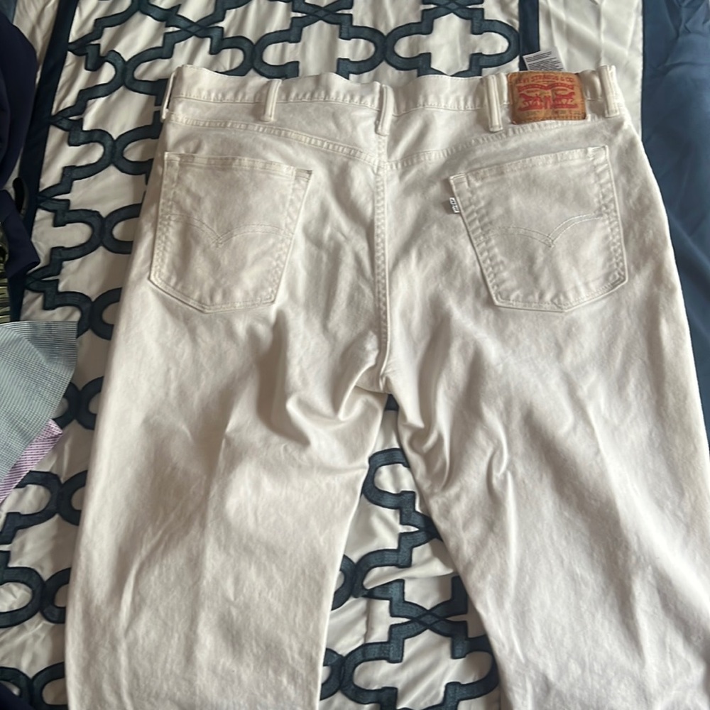 Mens levis
